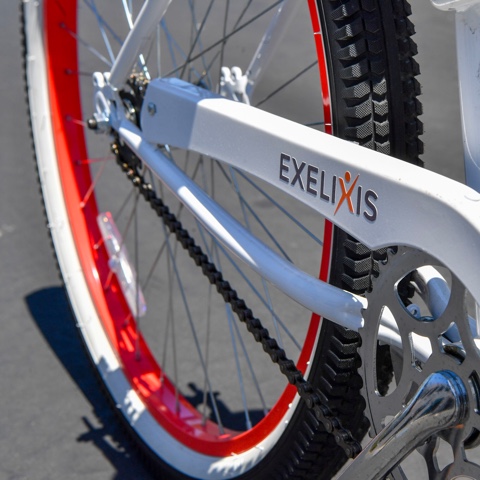 bike