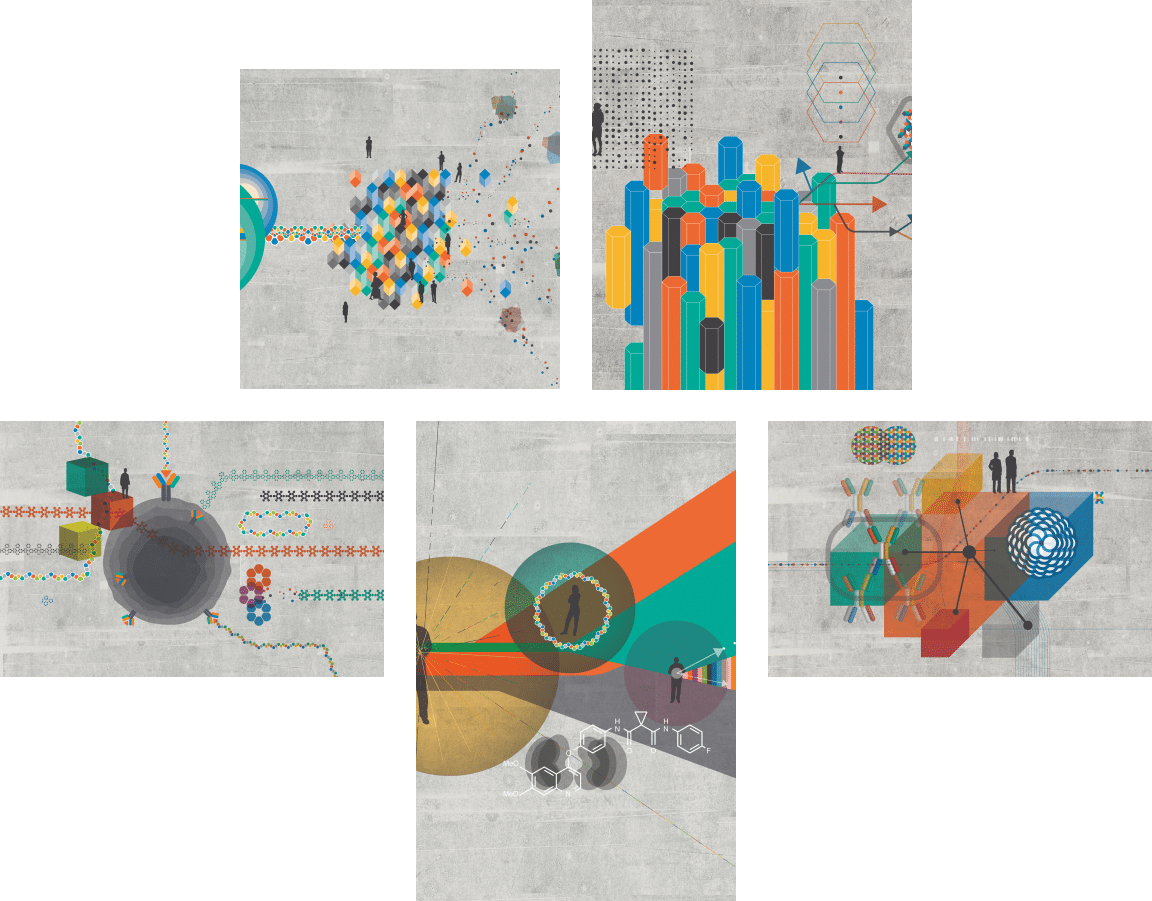 Collage of colorful<br />
illustrations<br />
depicting stages of<br />
Exelixis growth