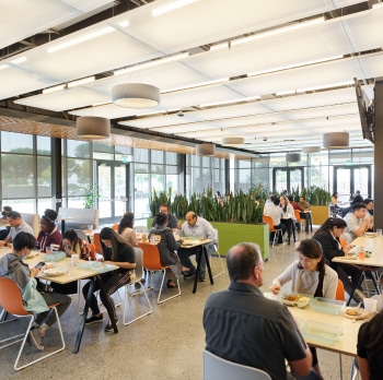 Employees sitting in café on campus