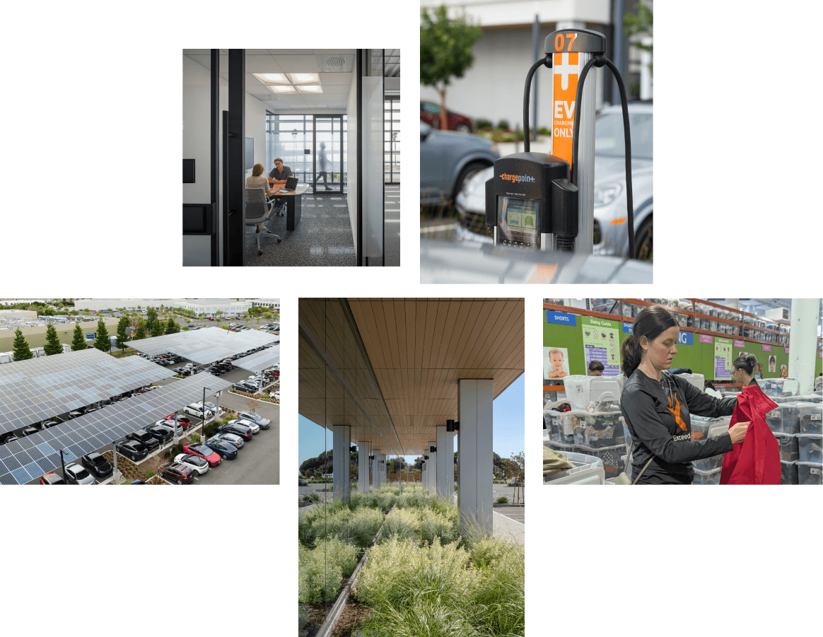 Sustainability Collage